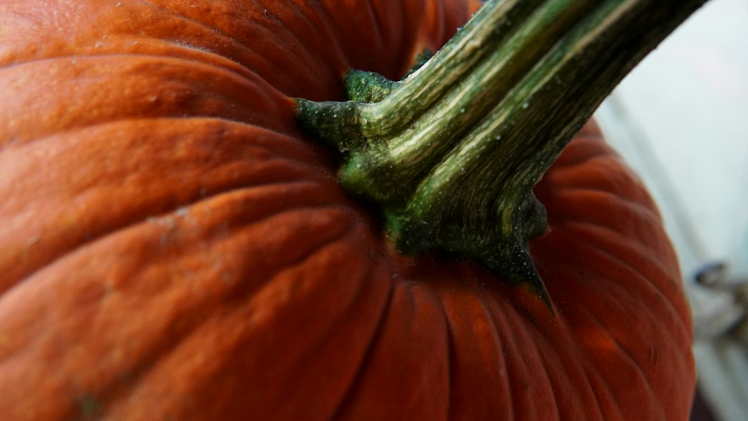 pumpkin seed counting